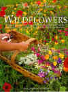 Wildflower1261.jpg (12074 bytes)